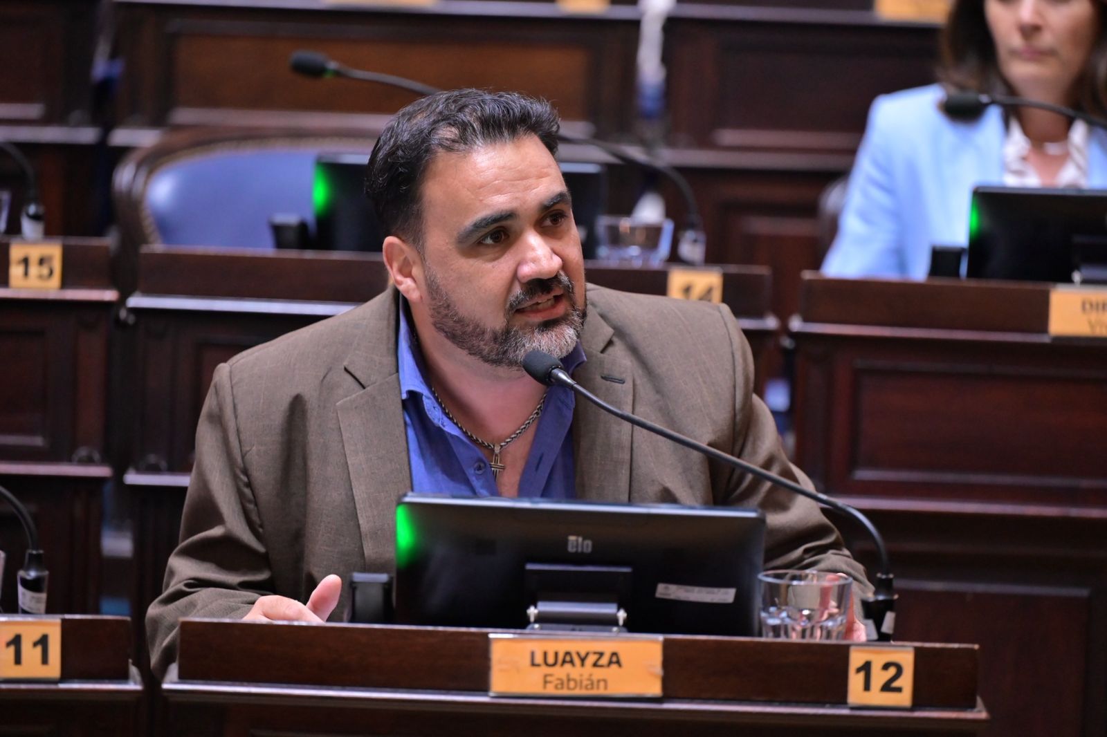 Fabián Luayza pidió un homenaje en la Cámara de Diputados por la memoria de Mussi