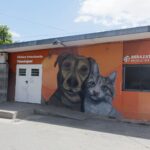 Recomendaciones de la Municipalidad de Berazategui para llevar a castrar a los animales de compañía