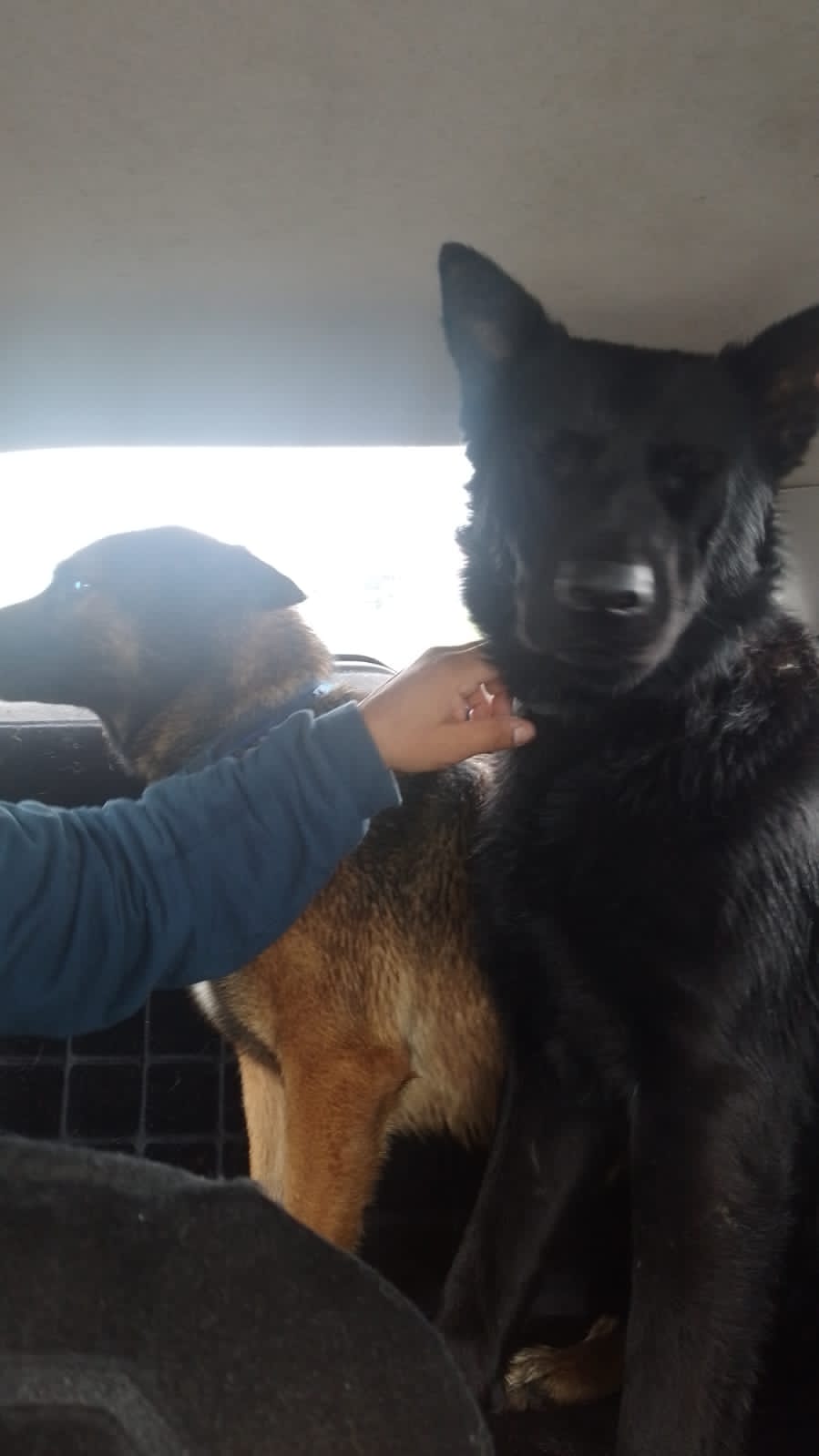 Felicidad, Amor, Perseverancia